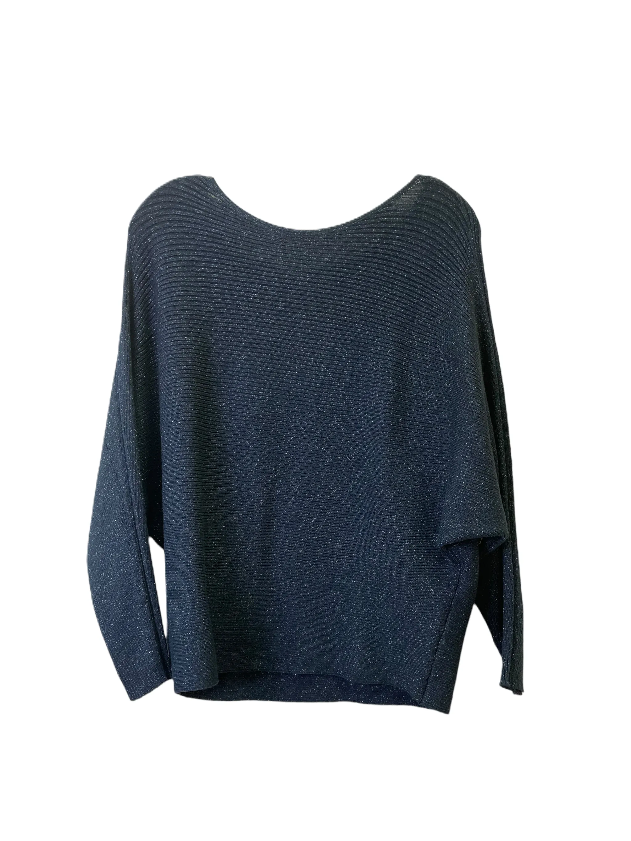 Blue Sweater By Chicos, Size: L